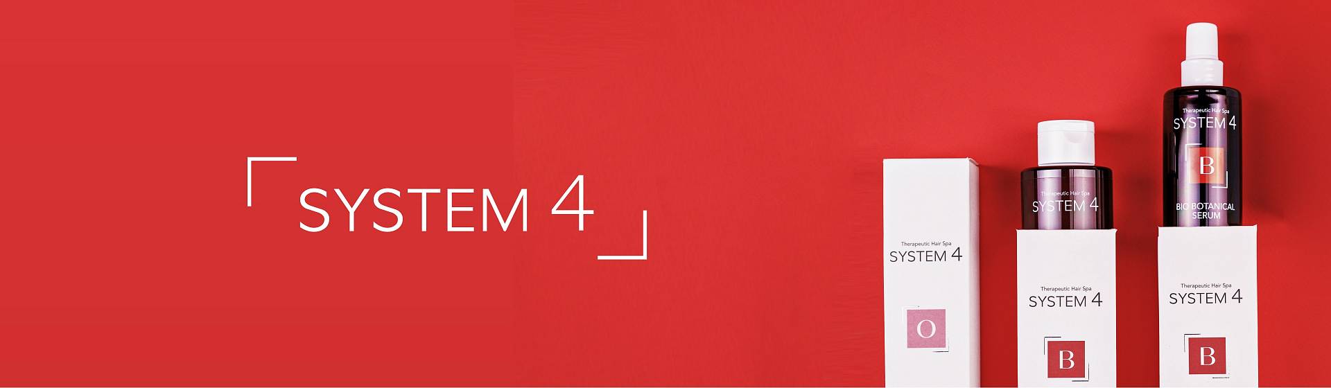 System 4